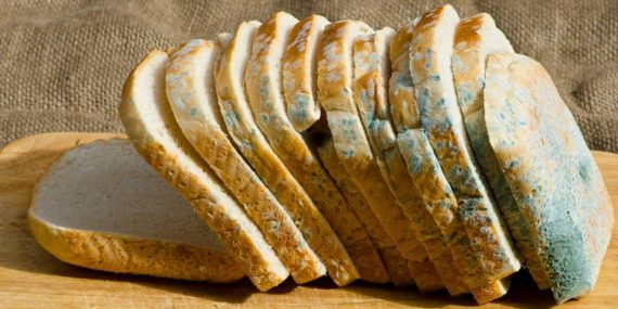 Küflü Besinleri Ne Yapmak Gerekir? Uzmanlar Açıkladı!