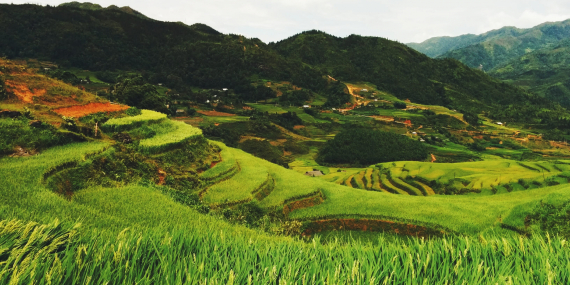 Take-Two CEO’sundan GTA 6 ile İlgili ‘Olmaz Olsun’ Dedirten Açıklama